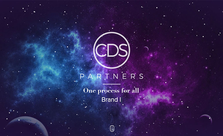 CDS  Partners