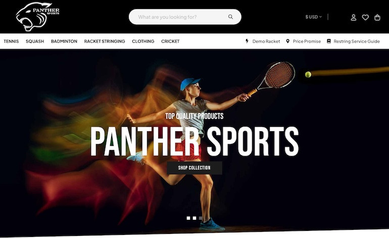 Panther Sports